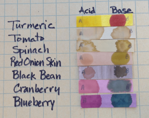Homemade pH indicator strips tested with the vinegar and sodium bicarbonate solutions, photographed in the shade.