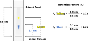 Paper Chromatography - The Colors Within - Kidizen Science